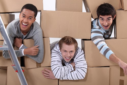 Professional furniture removals team transporting items safely
